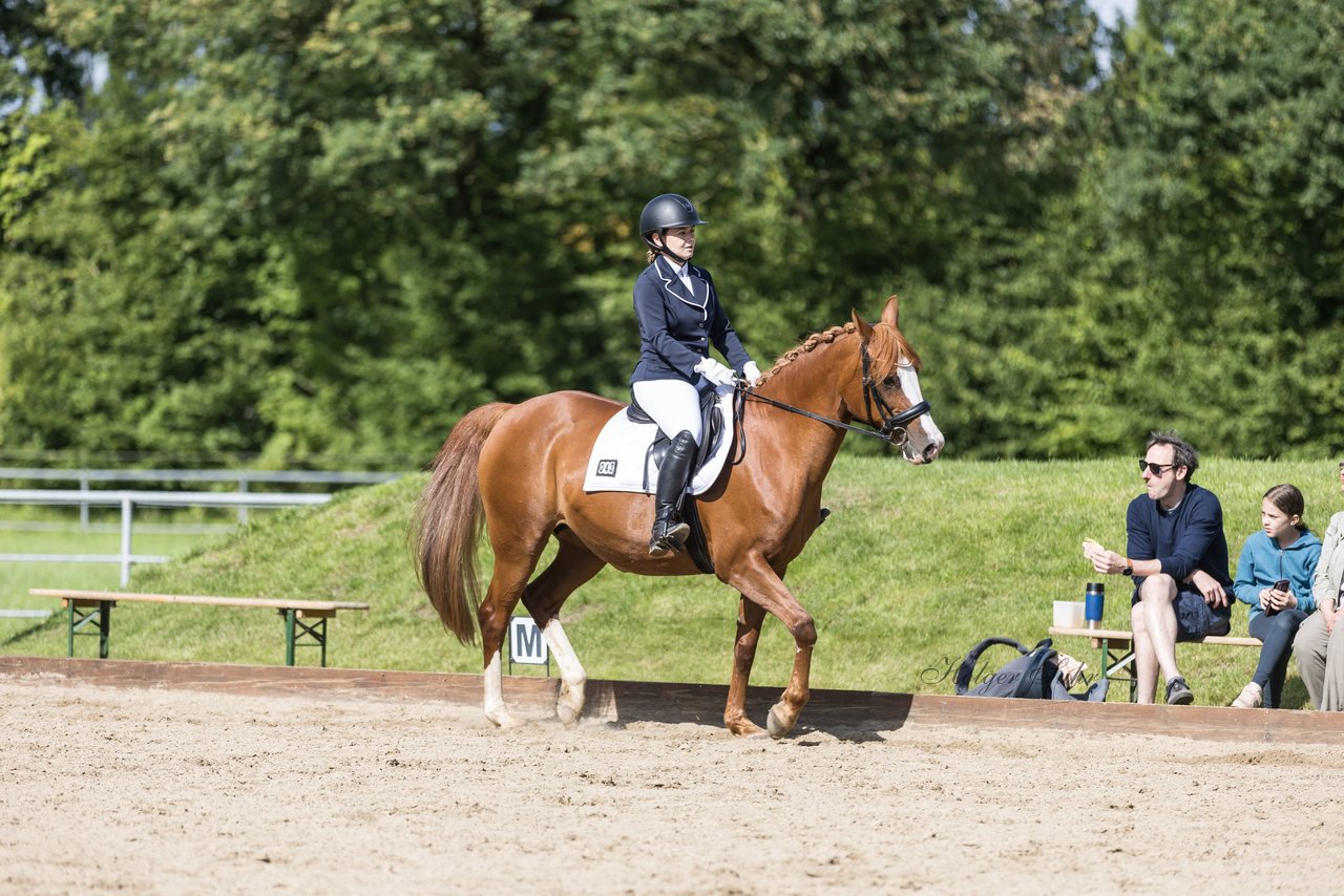 Bild 111 - Pony Akademie Turnier